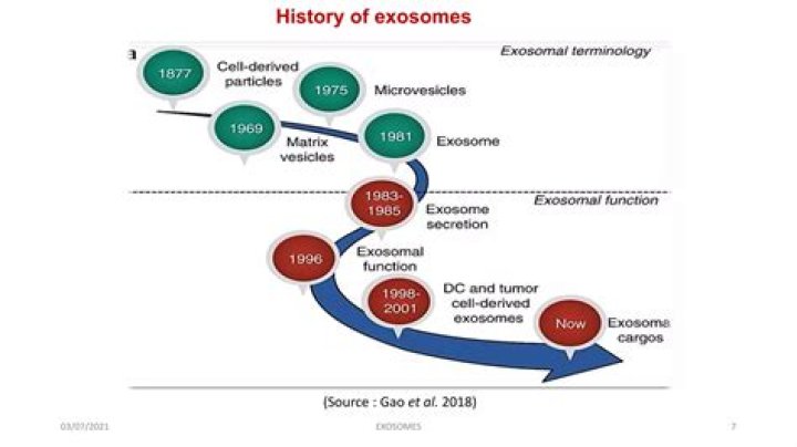 Who coined the term First World?