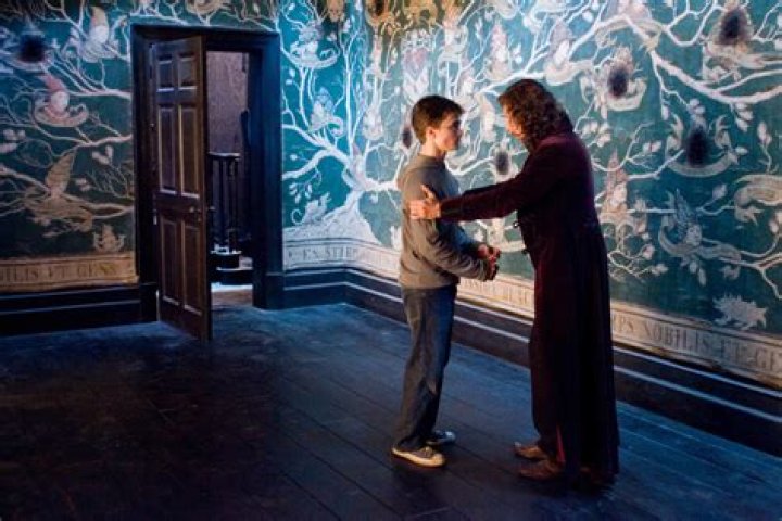 Who did Sirius Black love?