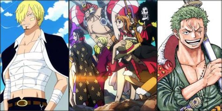 Who does Robin like One Piece?
