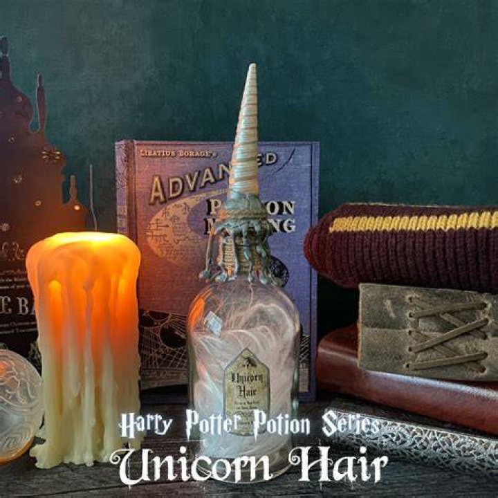 Who has a unicorn hair wand in Harry Potter?