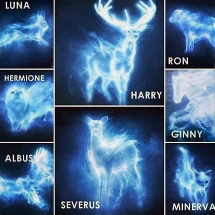 Who is Patronus dragon?