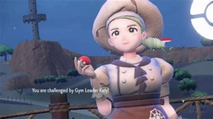 Who is the oldest Gym Leader in Pokemon?