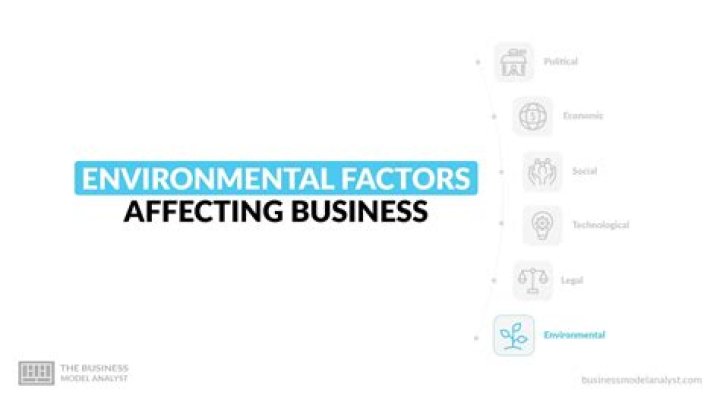 Why are environmental factors in business important?