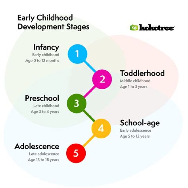 Why are the first 5 years of a child's life so important?