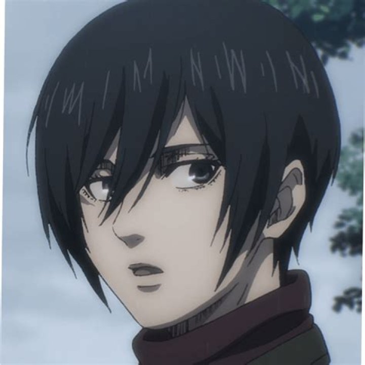 Why did Mikasa cut off Eren's head?