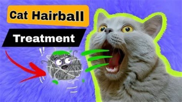Why did my cat poop a hairball?