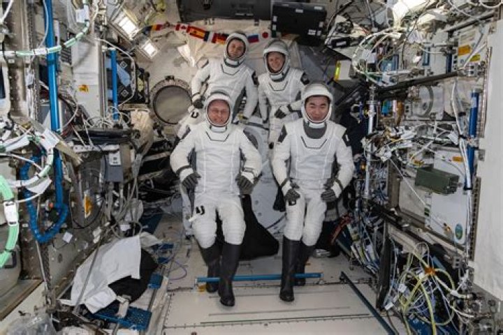 Why did NASA send the crew to Mars with 12 potatoes?