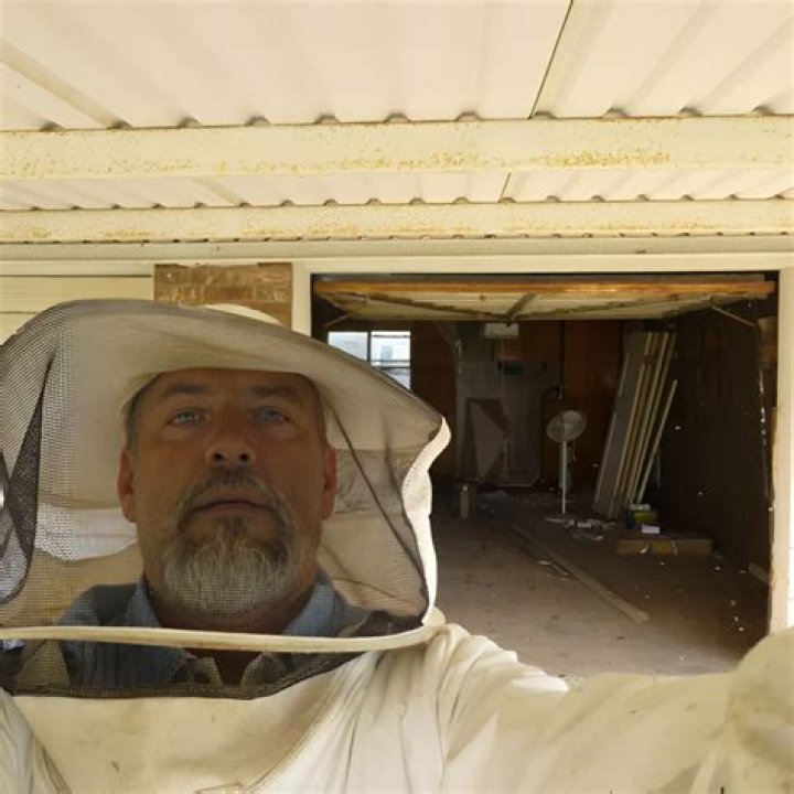 Why do bees keep attacking me?