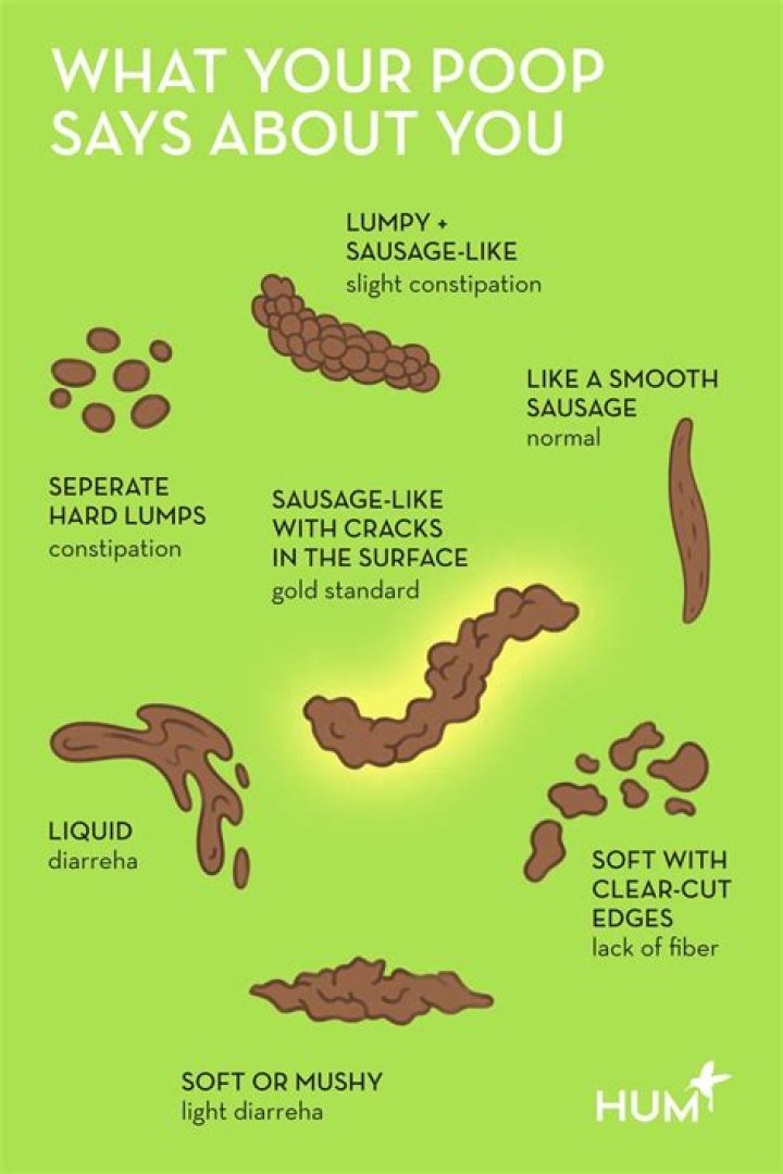 Why do cats dig a hole when they poop?