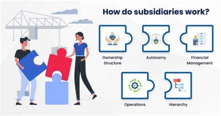 Why do companies establish subsidiaries?
