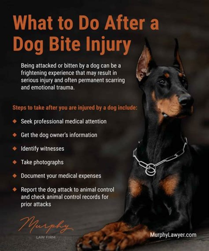 Why do dogs bite without warning?