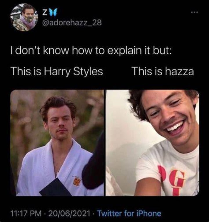 Why do fans call Harry Styles Hazza?