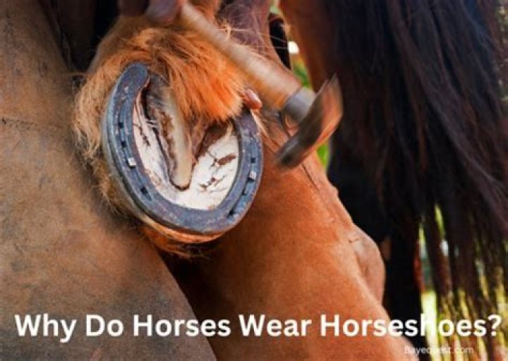 Why do horses eat sand?