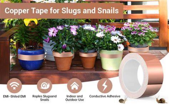Why do slugs hate copper tape?