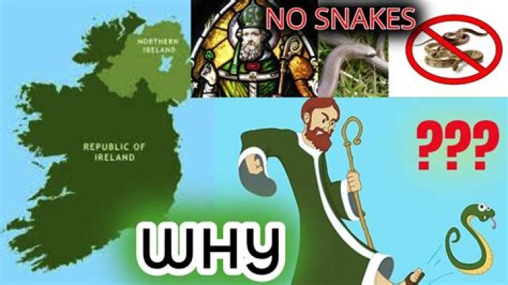 Why does Ireland have no snakes?