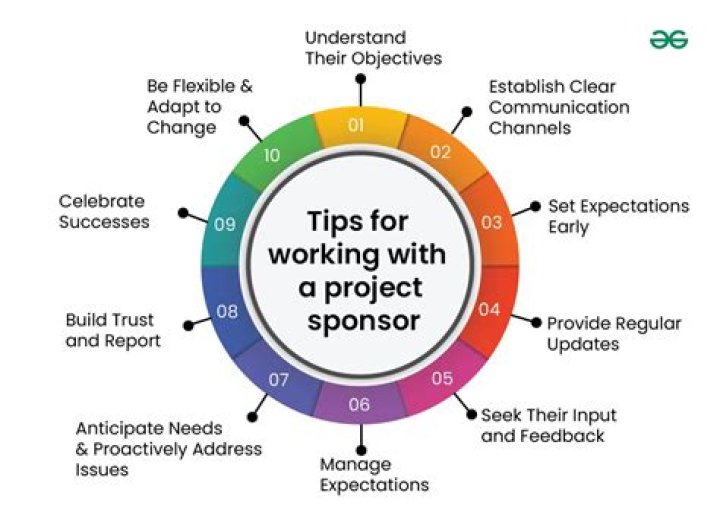 Why is a good project sponsor so important to the success of a project?