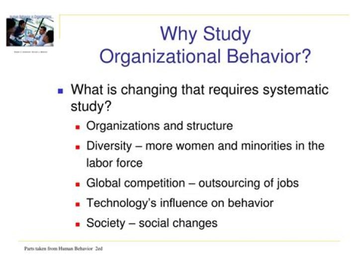 Why is it important for business students to study organizational behavior?
