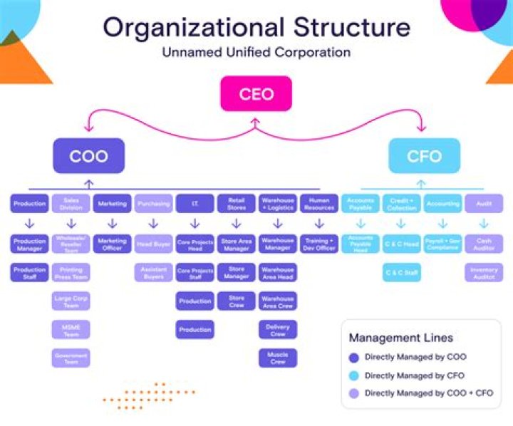 Why is it important that a company have an organizational structure?