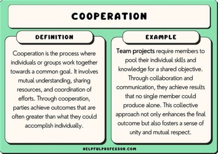 Why is it important to cooperate with others essay?