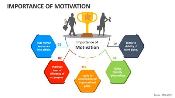 Why is motivation important in the workforce?