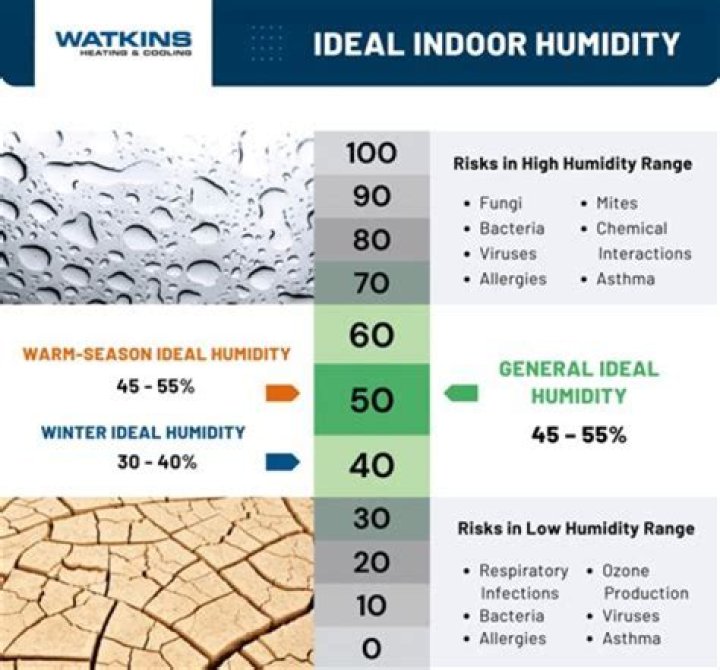 Why is my skin better in humidity?