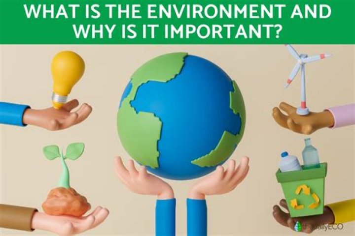 Why is the general environment important?