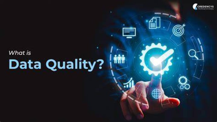 Why is the quality of information important to any business?