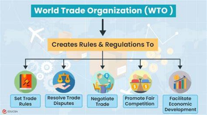 Why is the WTO important?