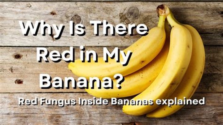 Why is there red marker on my money?