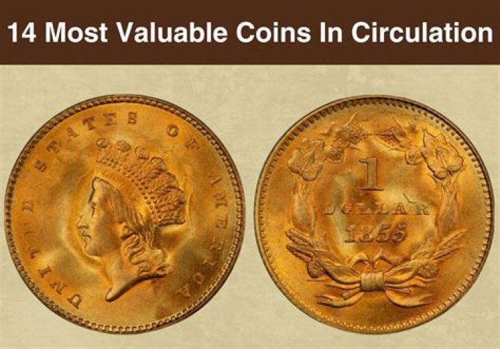 Why were so many foreign coins in circulation in the colonies?
