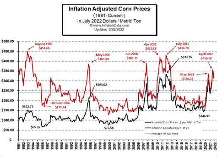 Will corn prices go up in 2021?