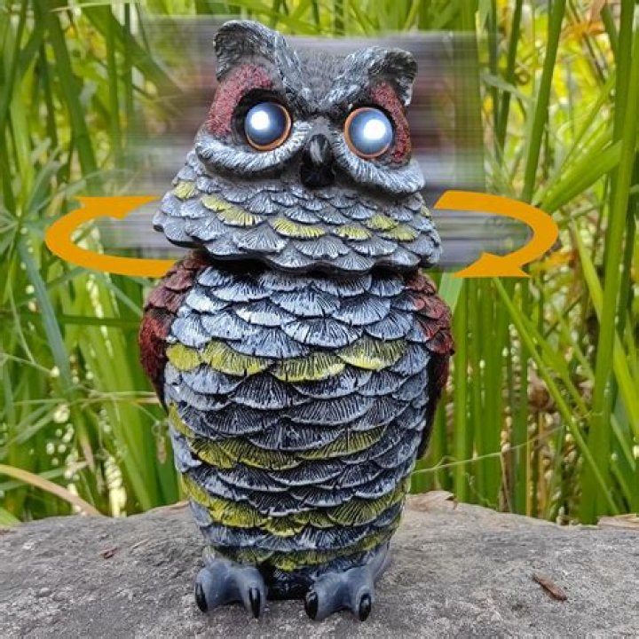 Will owl decoy keep rats away?