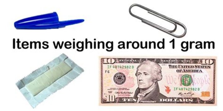 Would a paper clip weigh about 1 gram or 1 kilogram?